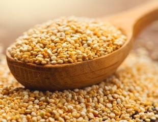 Experimental drug ZED1227 protects the whole body from gluten damage