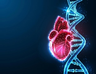 Intravenous statins during heart attack reduce cardiac muscle damage