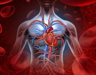 New clinical guidelines outline strategies to improve postpartum cardiovascular care