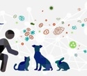 Large-scale meteorological patterns linked to Ebola virus outbreaks