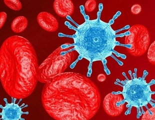 Study creates genetic roadmap of how HIV virus interacts with human cells