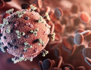 Researchers identify natural products with potential to disrupt viral spread