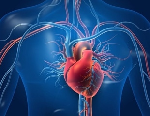 Risk factors for cardiovascular-kidney-metabolic disease can be identified in young children