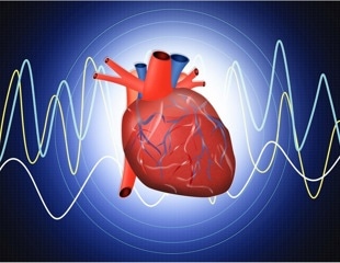 Planetary Health Diet lowers cardiovascular risk in older women