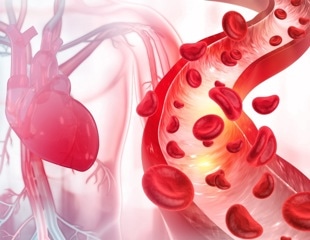 Prediction model can estimate heart disease risk in women earlier in life