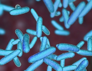Australian researchers develop a new way to target deadly, drug-resistant bacteria