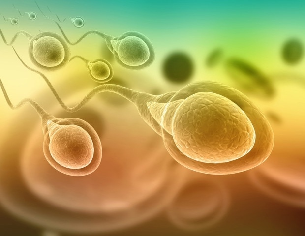 New protocol identifies sperm biomarkers to diagnose male infertility