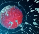 Study uncovers key protein complex controlling sperm motility and male fertility