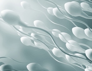 New protocol identifies sperm biomarkers to diagnose male infertility