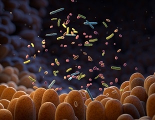 Understanding the interconnected roles of microbial, metabolic, and immune biomarkers in IBD