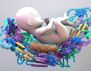 New antibiotic combinations aim to prevent recurrent bacterial vaginosis