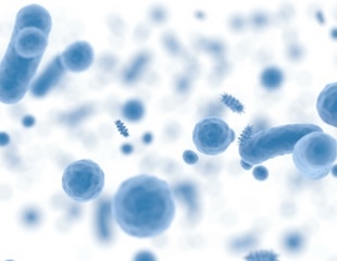 New analytical strategies can measure thousands of gut microbial proteins