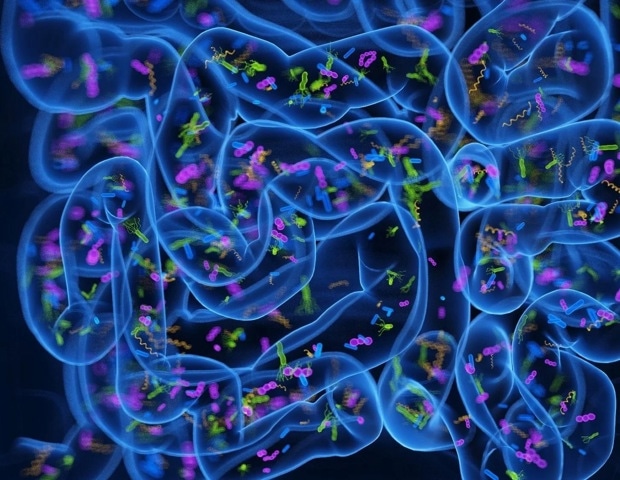 New models predict biological age using blood and microbiome