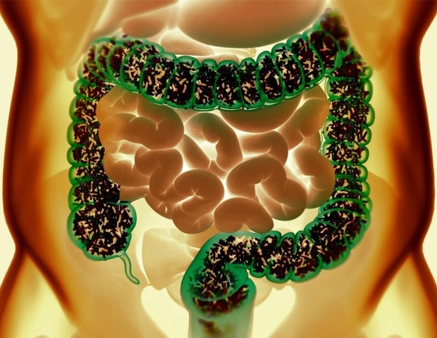 Gut bacteria use formic acid as an electron taxi