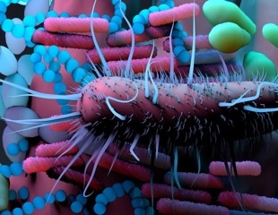 New analytical strategies can measure thousands of gut microbial proteins
