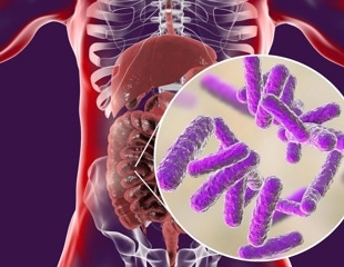 Reverse ecology approach reveals hidden complexity in gut microbiome