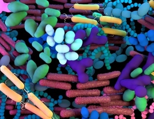 Study links gut microbiome imbalance to worsening kidney disease