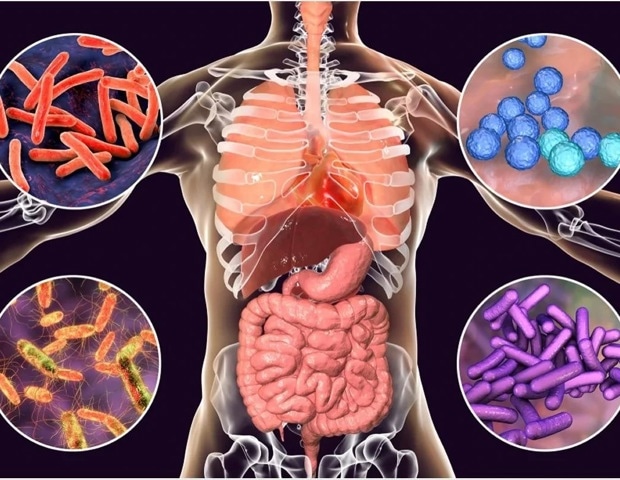 New models predict biological age using blood and microbiome