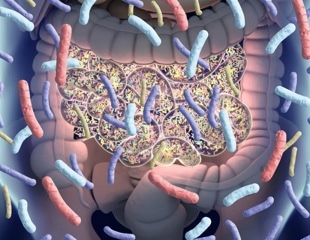 Gut bacteria use formic acid as an electron taxi