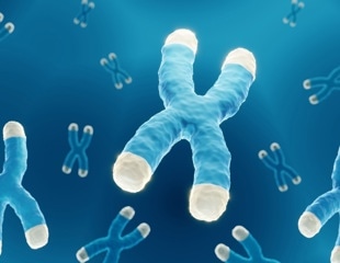 New AI model reveals hidden code behind gene activation