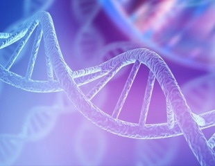 Nature-inspired vesicles offer new path for precision medicine therapies