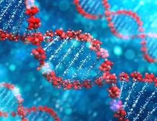 Engineered cells boost production of gene editing delivery vehicles