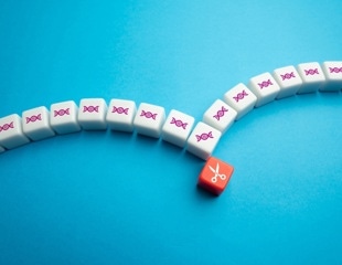 Study maps how NF-κB regulates gene expression in cells