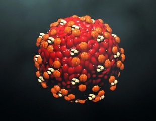 Study reveals significant gaps in MMR vaccine knowledge among ER patients