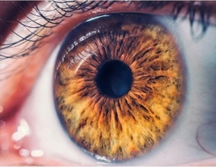 New framework aims to improve reliability of tear-based health sensors