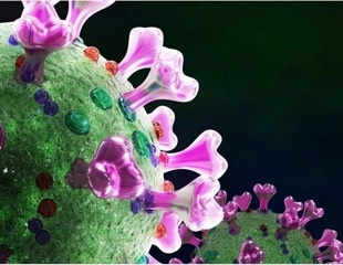 Tiny genetic change influences coronavirus spillover into humans