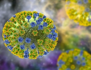 Global Virus Network monitors spreading avian influenza in Australian mammals