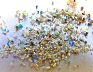 PlasticHeal project sheds light on hidden health effects of nanoplastics