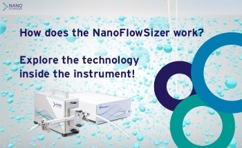 Everything about InProcess-LSP's NanoFlowSizer
