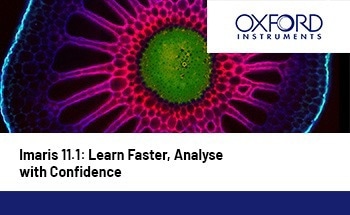 Imaris 11.1: Learn Faster, Analyse with Confidence